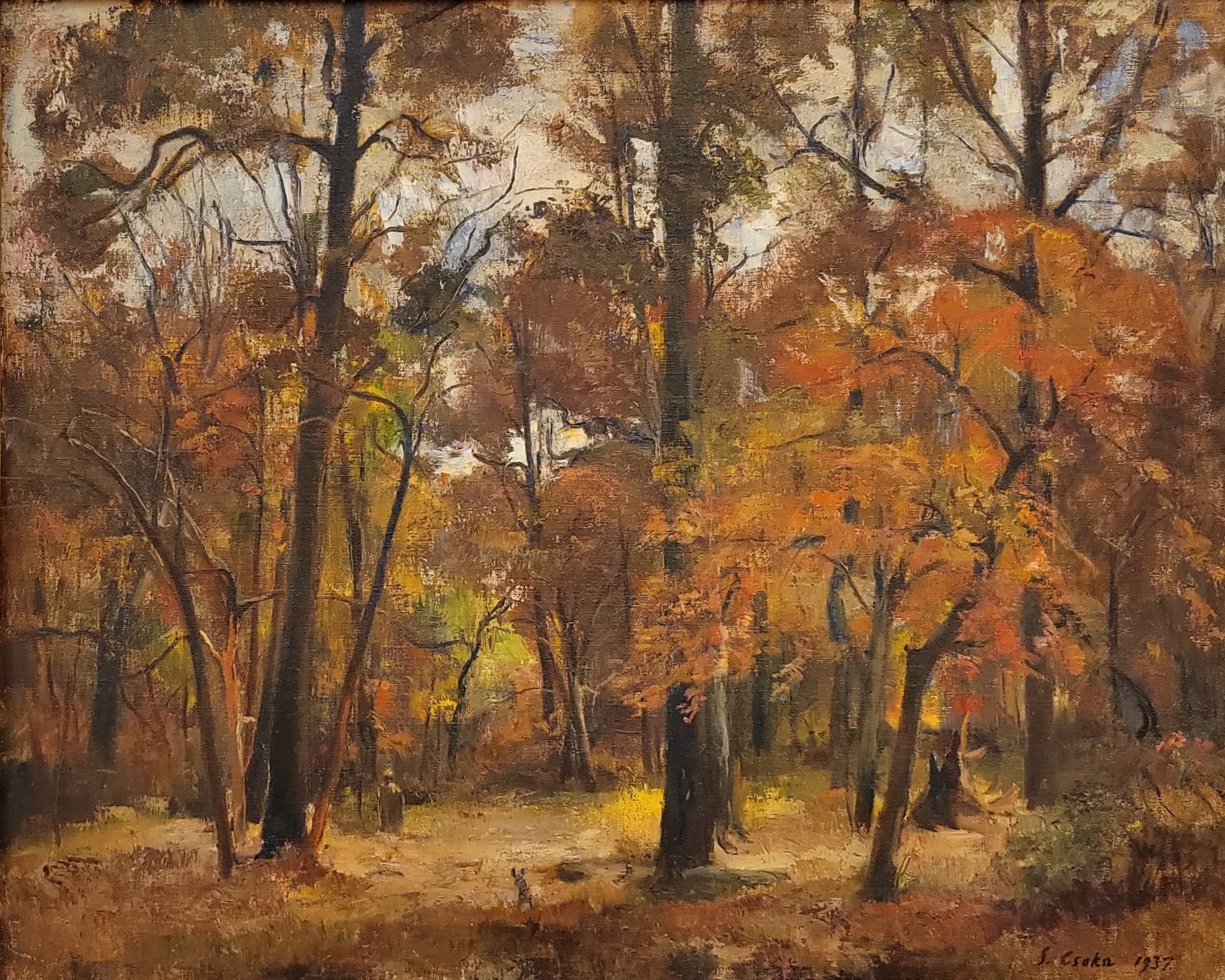 Csoka, Stephen. Autumn Woods
